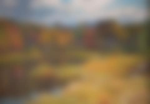 AUTUMNAL LANDSCAPE (preview)