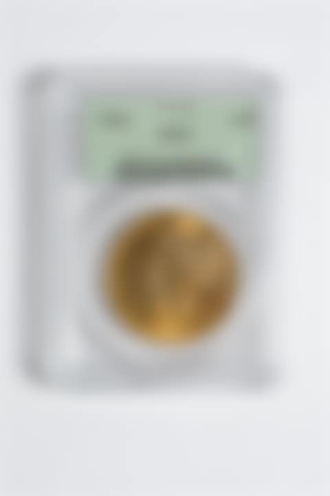TWENTY DOLLAR GOLD COIN (preview)