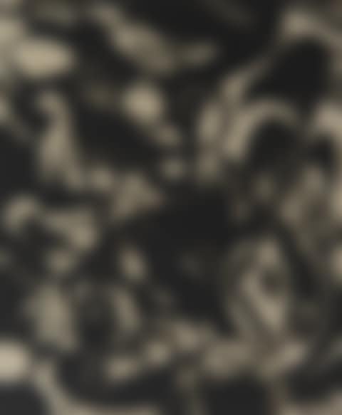 Schöpfungsgeschichte I (The Creation I) (preview)