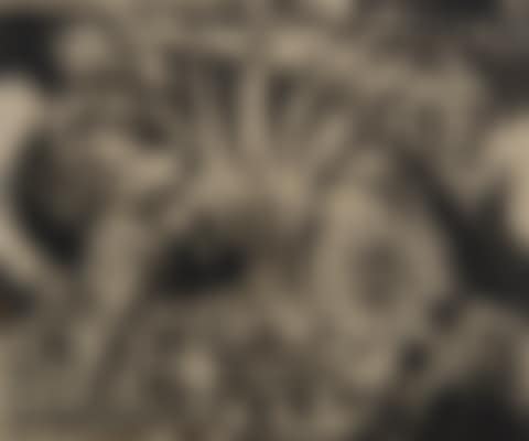 Tiger (Tiger) (preview)