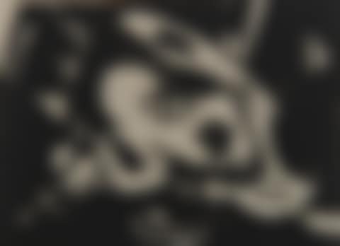 Dir Stier (Bull Steer) (preview)
