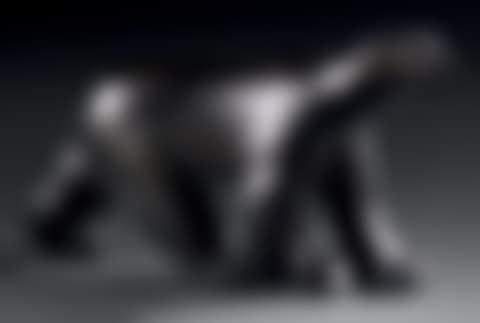 White bear (preview)