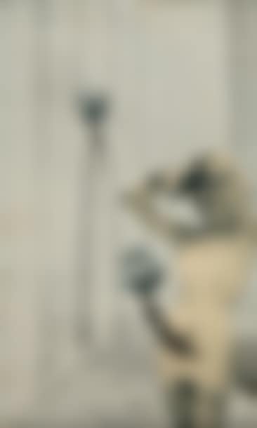 WOMAN WITH THE ROSE (preview)