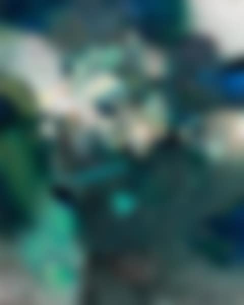 Jungle, composition (preview)
