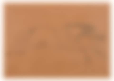 Galloping horse. (preview)