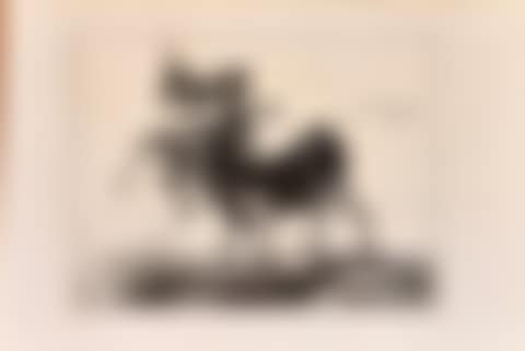 Blind man taken on the horns of a bull (preview)