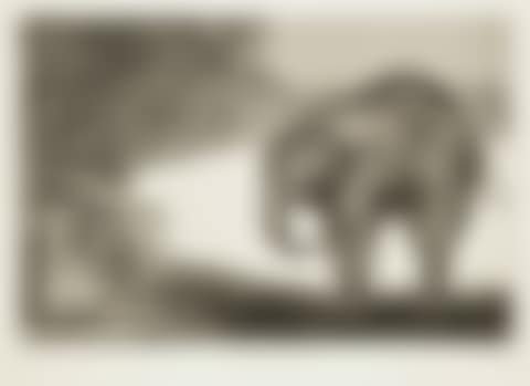 Other eyes by the village (preview)