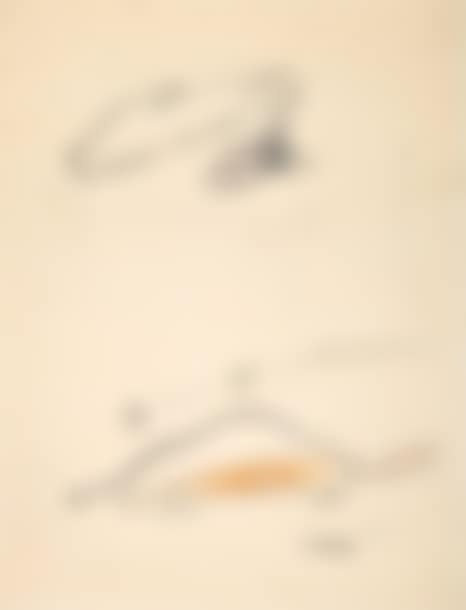 SIGNED EROTIC DRAWING (preview)