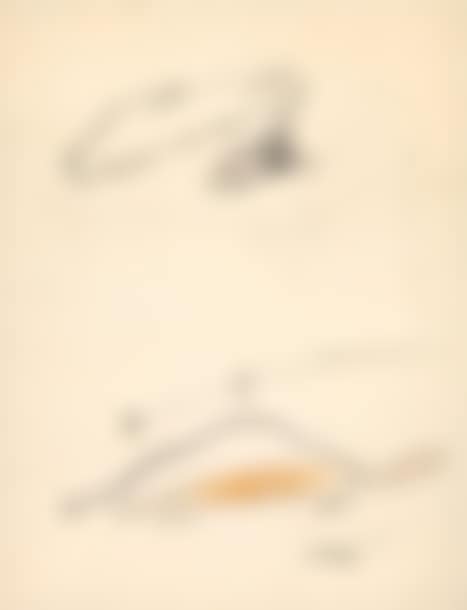 SIGNED EROTIC DRAWING (preview)