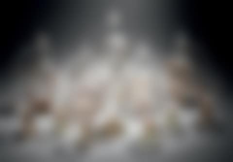 Service "Chrysanthemums" (preview)