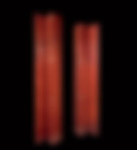 Screen or double door with six chamois (preview)