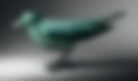 The garden bird (preview)