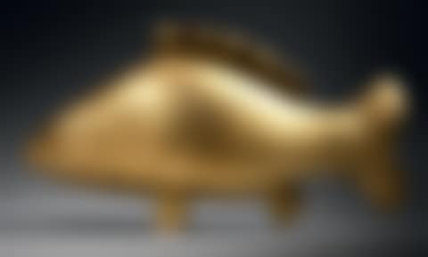 La carpe d"or (preview)