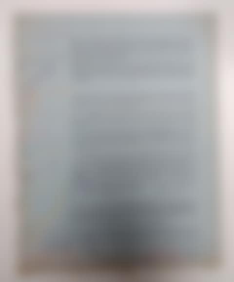 LEAFLET. BARRAGE SHOOTING (preview)