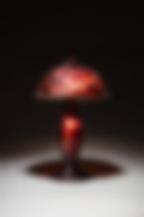 Camélias japonais lamp (preview)