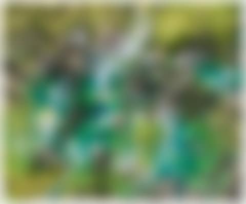 Blooming Bloom (preview)