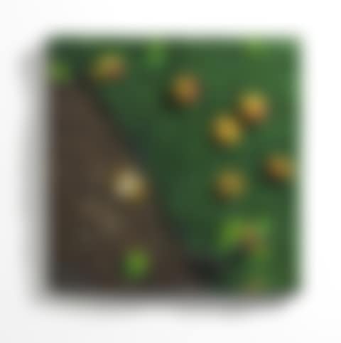 Untitled (preview)