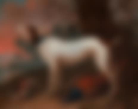 Hunting dog with prey (preview)
