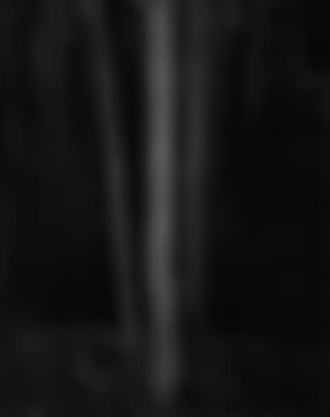 ‘Aspens, Northern New Mexico" (Vertical) (preview)