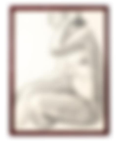 Nude study (preview)
