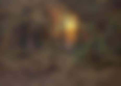 Forest glade at sunset (preview)