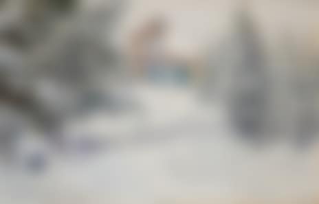 The artist"s own house in winter clothing (preview)