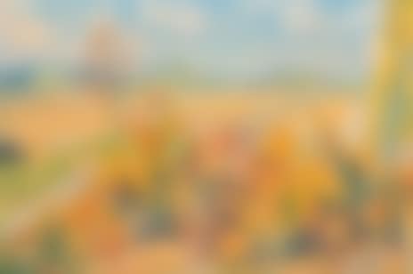 Northern landscape (preview)