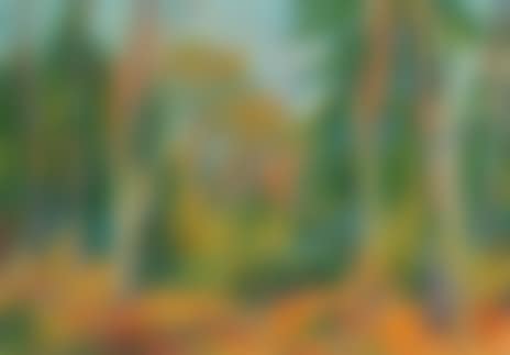 Forest landscape (preview)