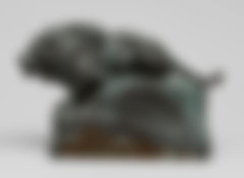Mountain lion (preview)