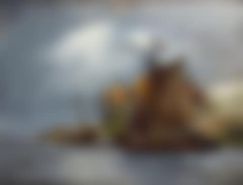 Dutch coastal landscape (preview)