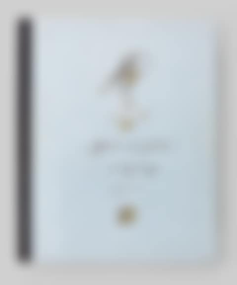 ”Post scriptum” (preview)