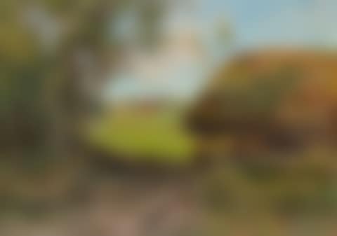Summer landscape with lider (preview)