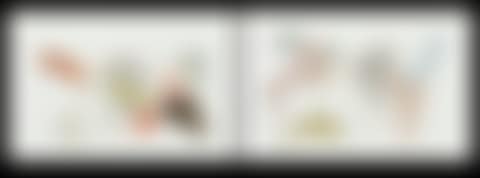 Two porcelain plaques (preview)