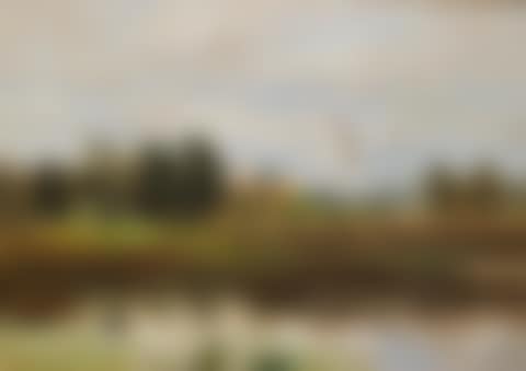 Landscape with lifting mallards (preview)