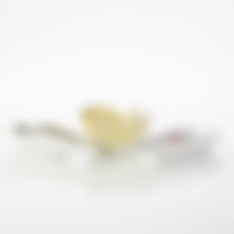 Dish and bowl, three parts (preview)