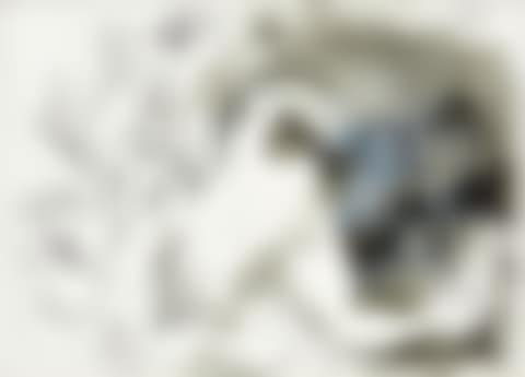 "Nus" (preview)