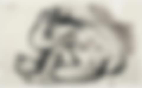 ”Femme nue se coiffant” (preview)