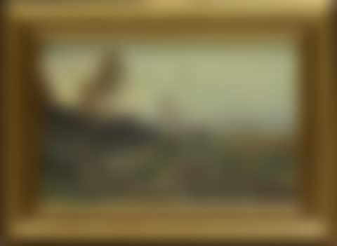 French landscape with rice carriers (preview)