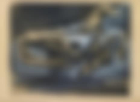 ”nature morte au crâne” (preview)
