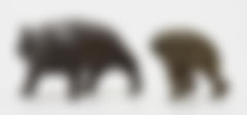 Monkey and Bear (preview)