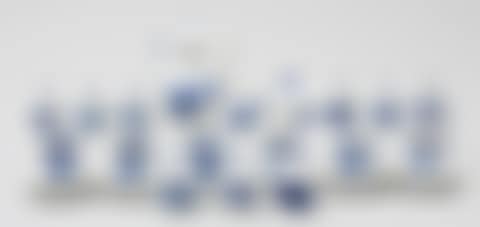"Blue flowers" (preview)