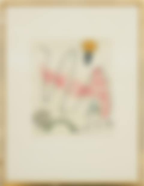 "Oiseaux en peril" (preview)