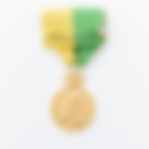 Medal (preview)