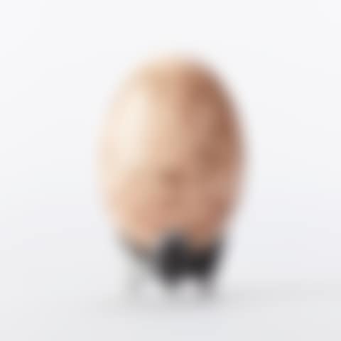Sculpture in the form of an egg (preview)