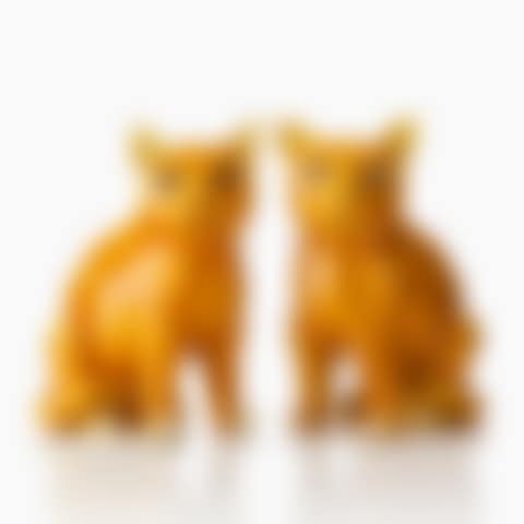 Pair of cats (preview)