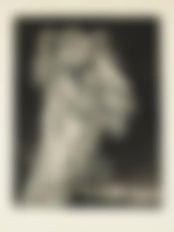 Dromedaries (preview)