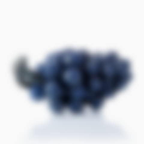 Bunch of grapes (preview)
