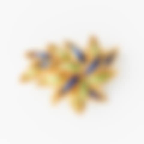 Brooch (preview)