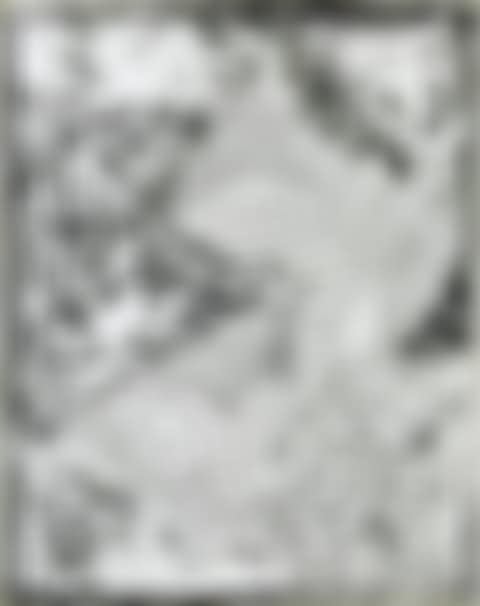”Swan Engraving II” (preview)