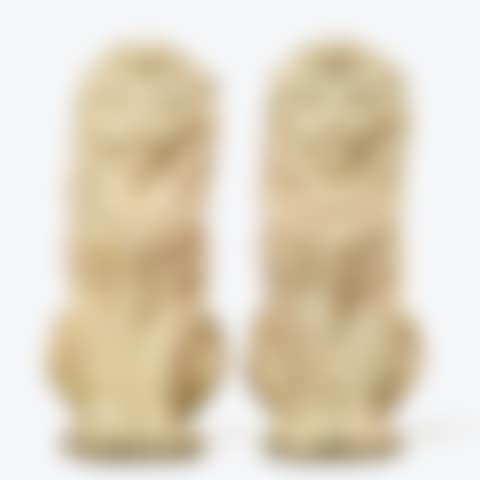 Seated lions (preview)
